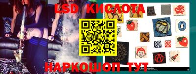 шишки Будённовск
