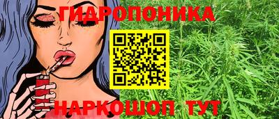 шишки Будённовск