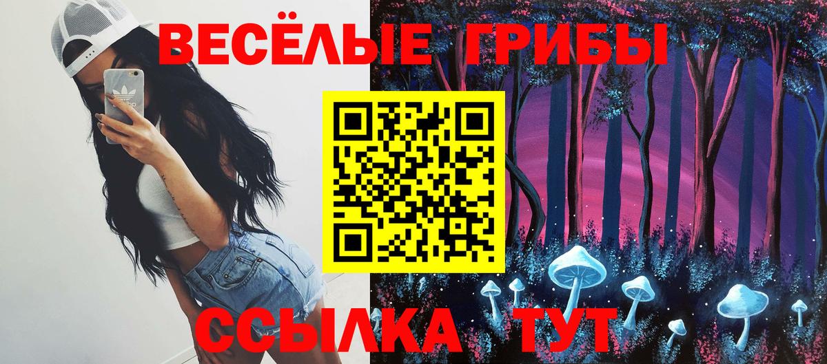 Пенза  Галлюциногенные грибы мицелий  Галлюциногенные грибы прущие грибы  Вход с VPN 