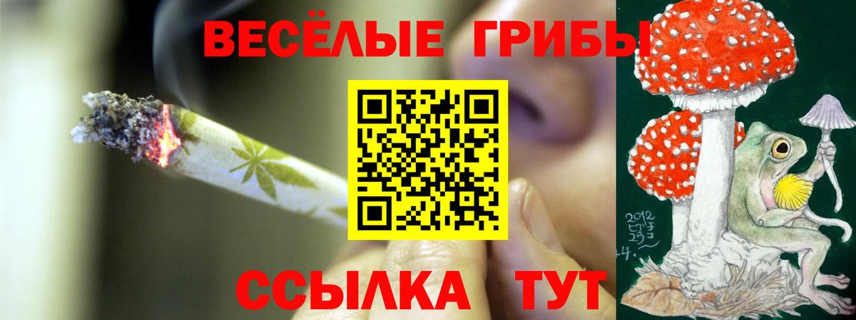 Псилоцибиновые грибы Psilocybine cubensis Пенза